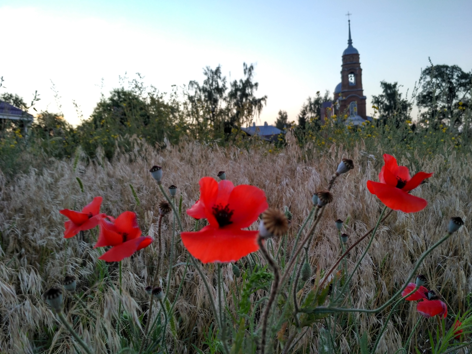 rural spaces. - My, Voronezh region, Village, The photo, Nature, Enthusiasm, Landscape, Longpost