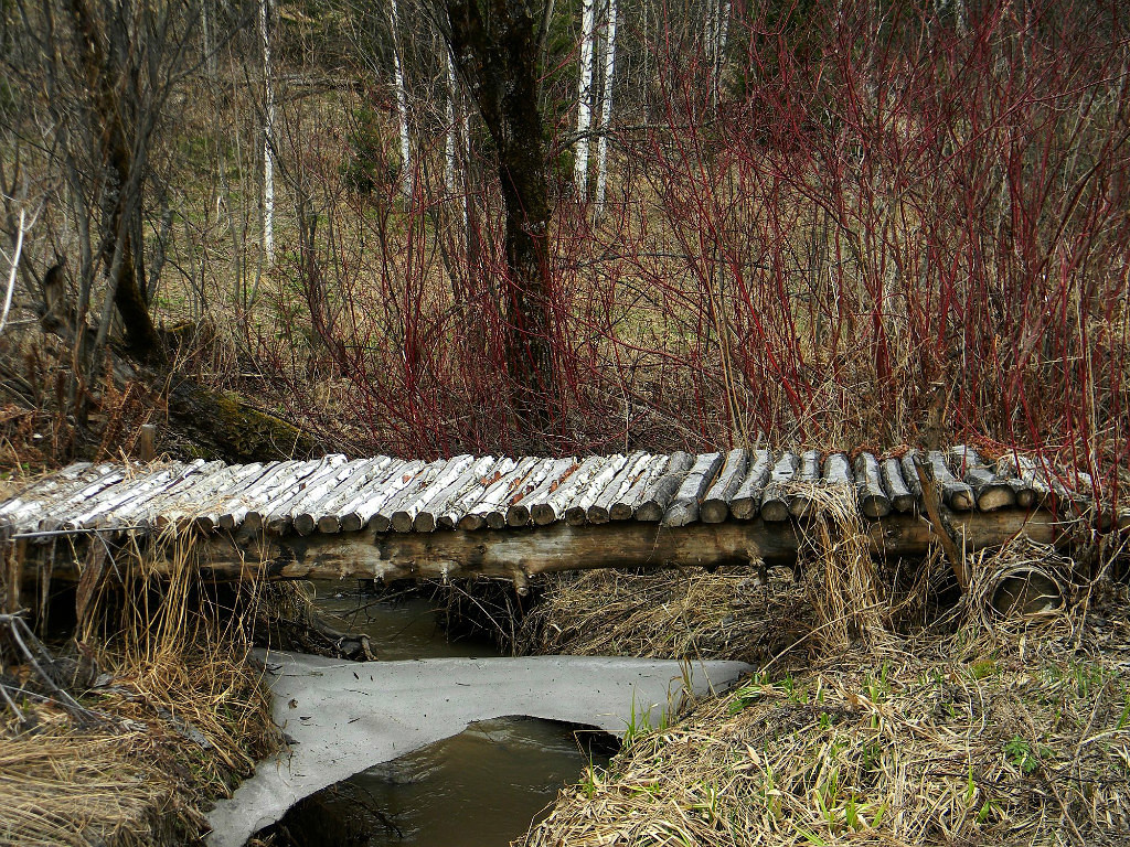 Beauty of Altai - Autumn in Altai, When my uncle's apiary is far away., archive, Longpost