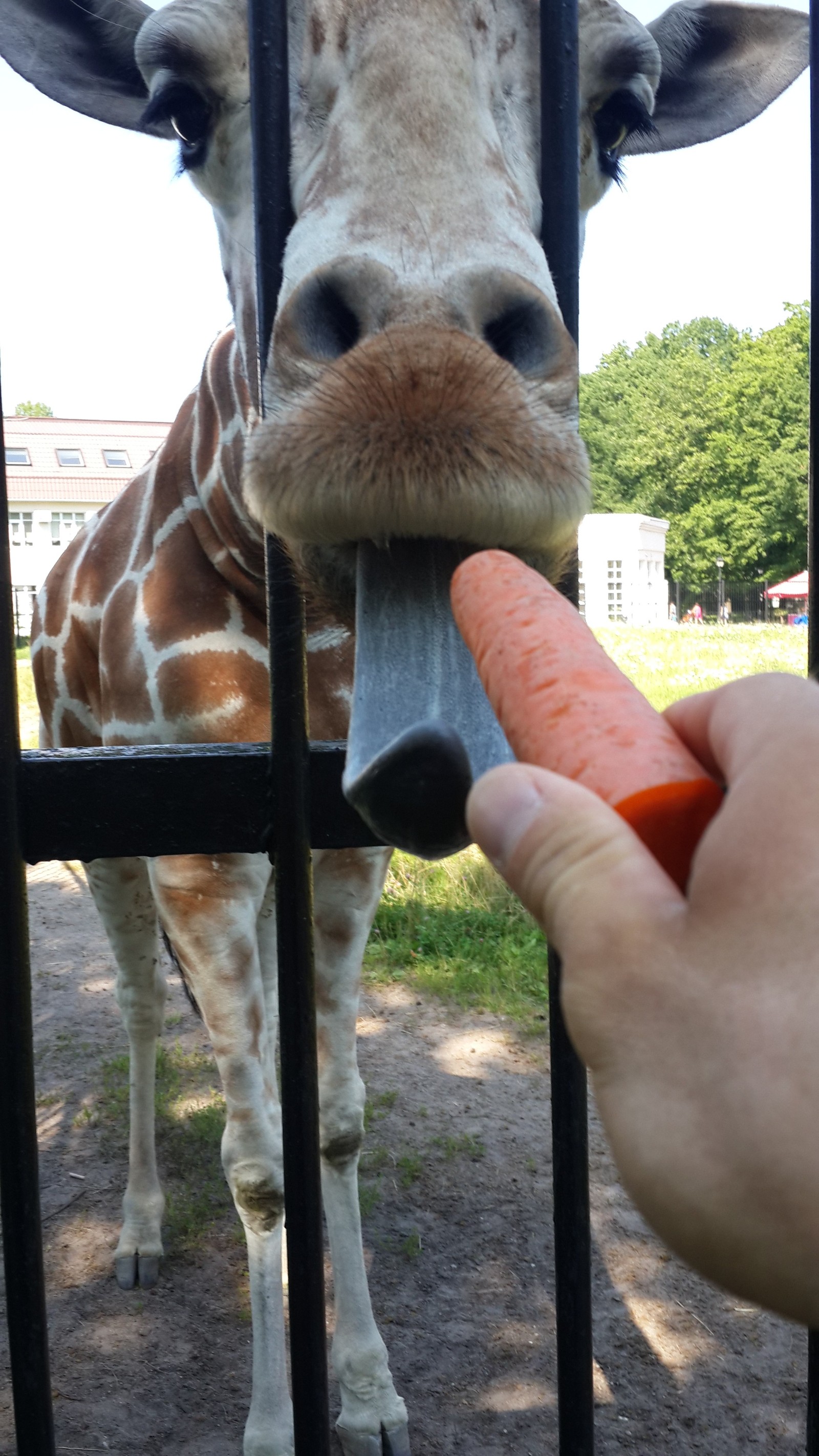 Zoo - My, Kaliningrad Zoo, Milota, Longpost