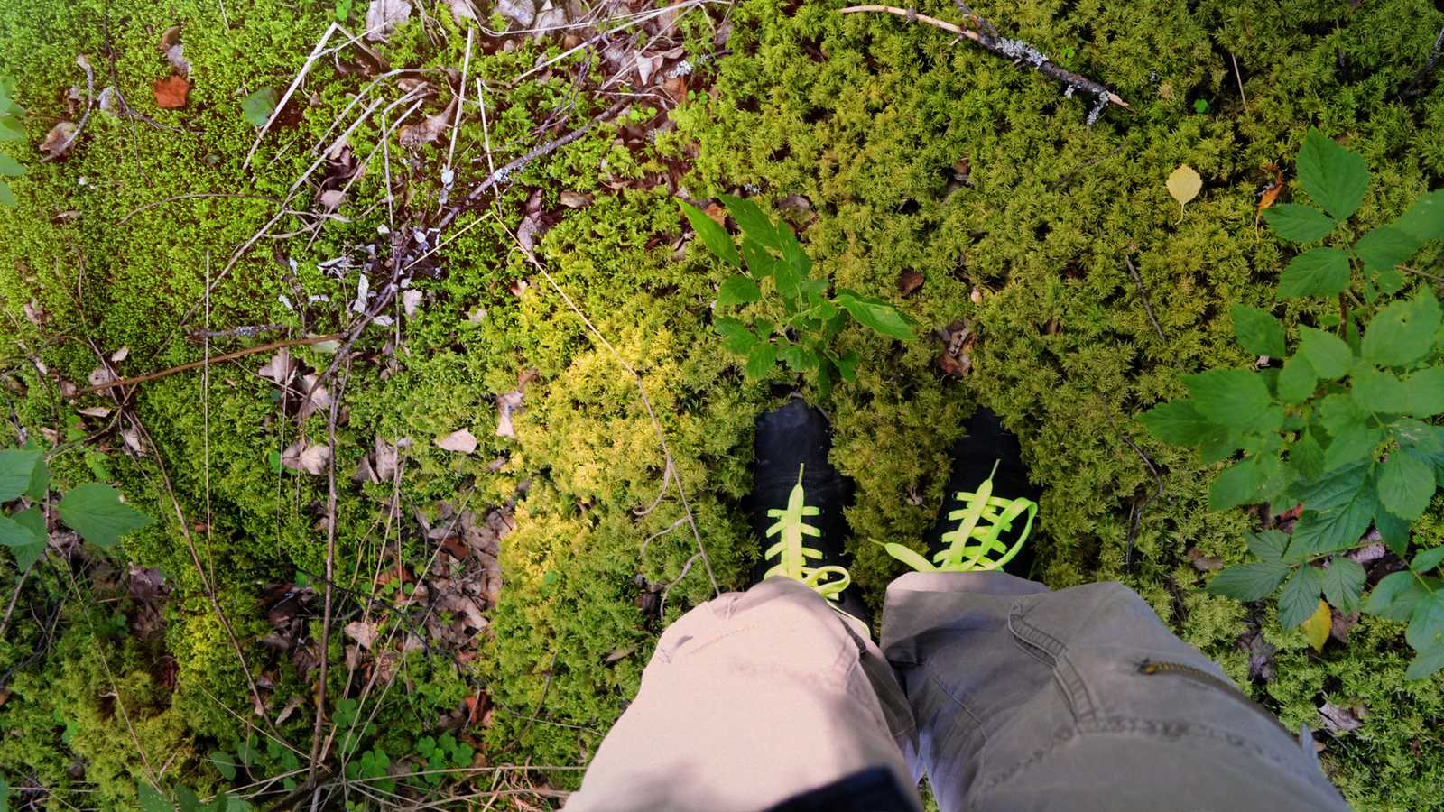 Taganay National Park - My, Taganay, Hike, My, Video, Longpost