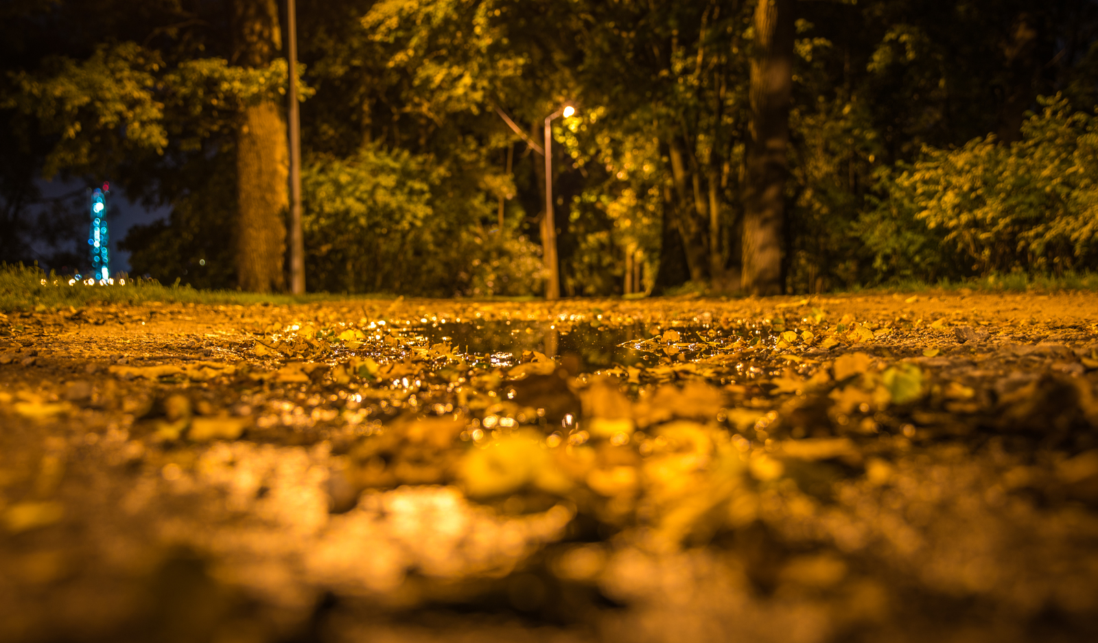 Night Central Park - My, Night, Saint Petersburg, Cpcchio, Autumn, Canon 24-70, Longpost