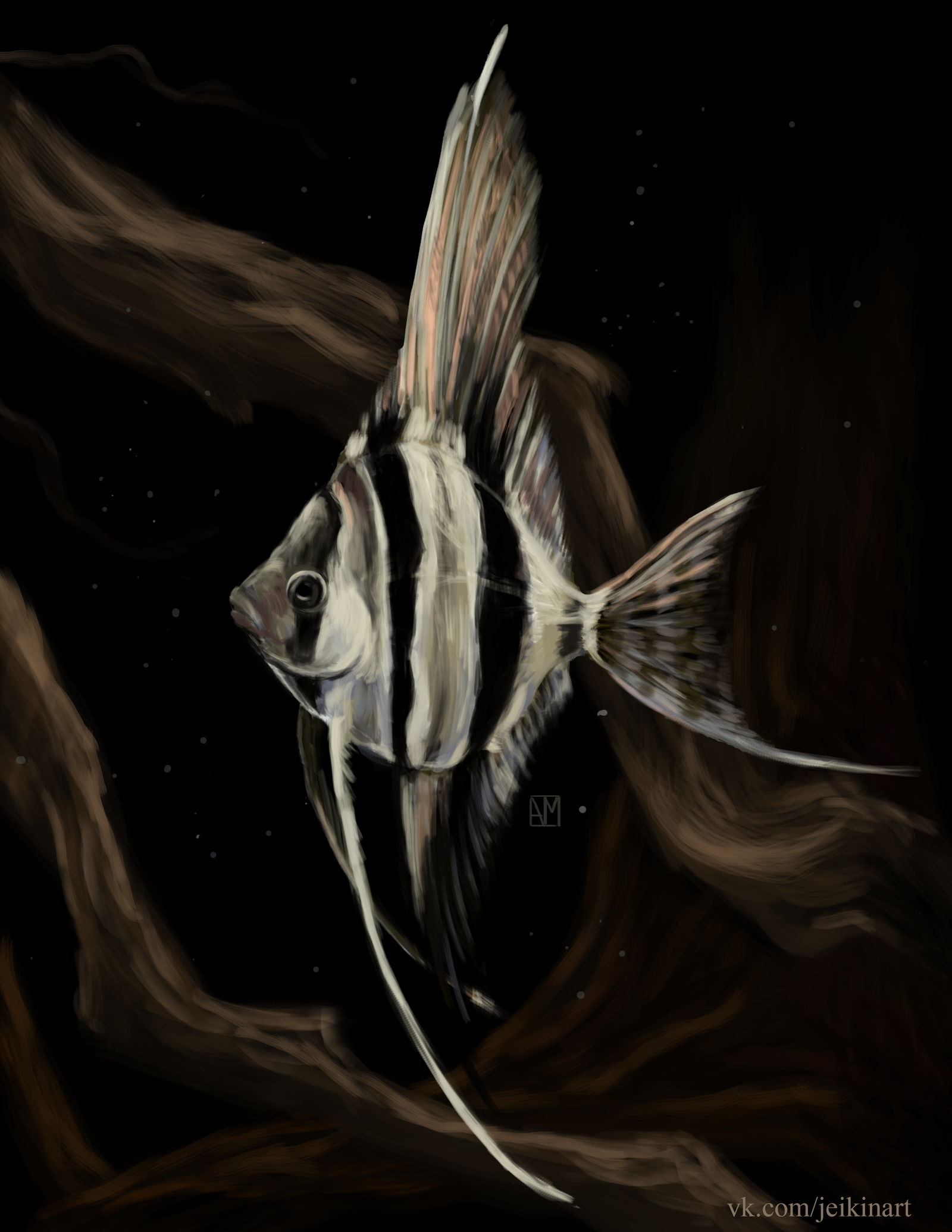 Altum. - My, Digital drawing, Drawing, Altum, Aquarium fish, Creation, Art