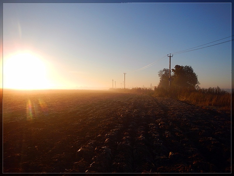 Potatoes from the fields - My, Cooking, Roast potatoes, Longpost