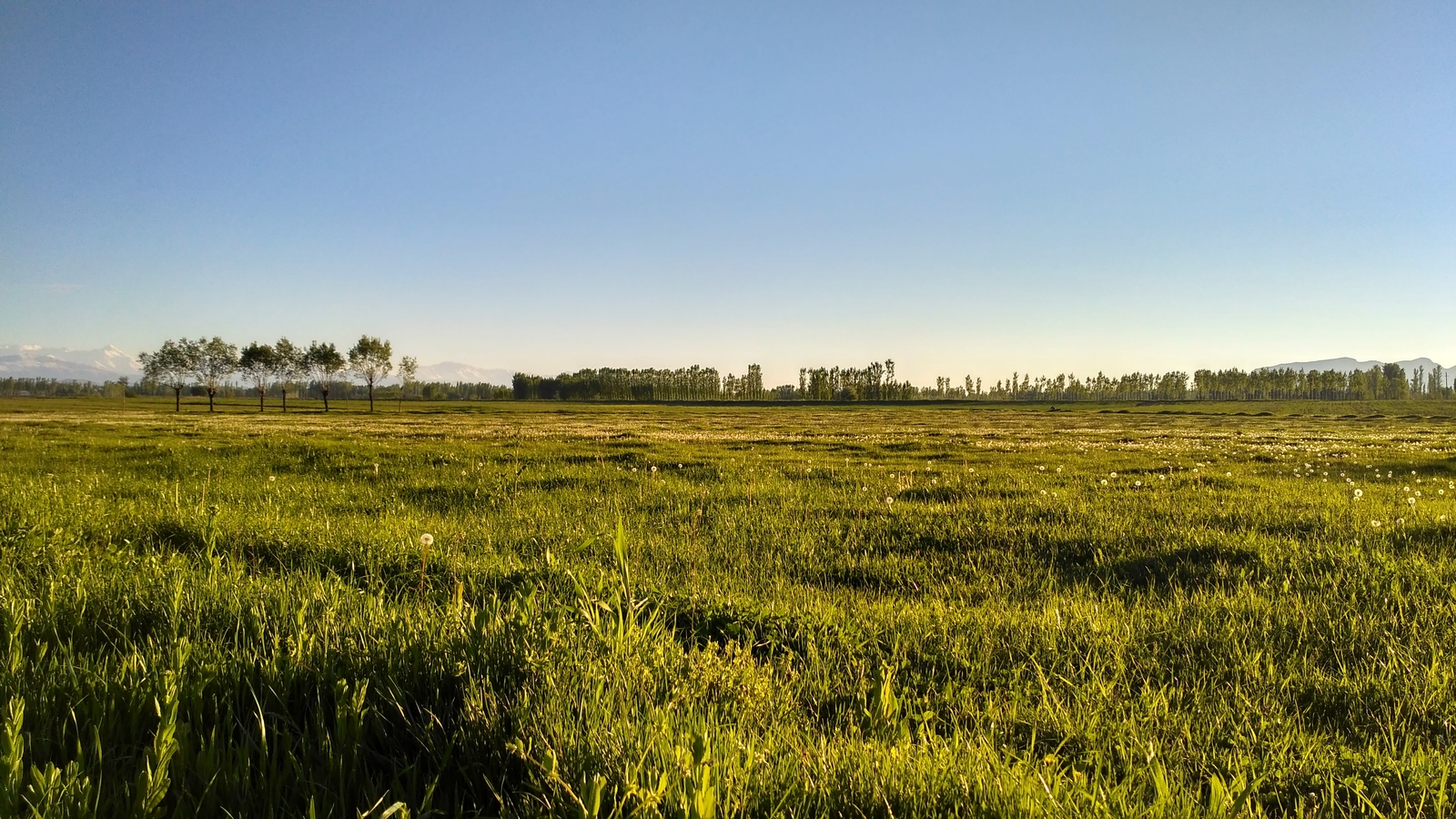 Evening views. - My, Kyrgyzstan, Osh, The photo, Landscape, Evening, Nature, The mountains, Enthusiasm, Longpost