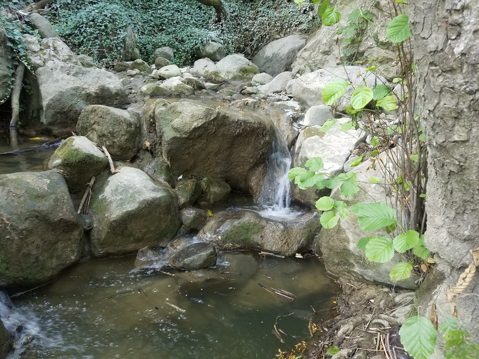 Crimean beauty. Artek - Crimea, Waterfall, Longpost