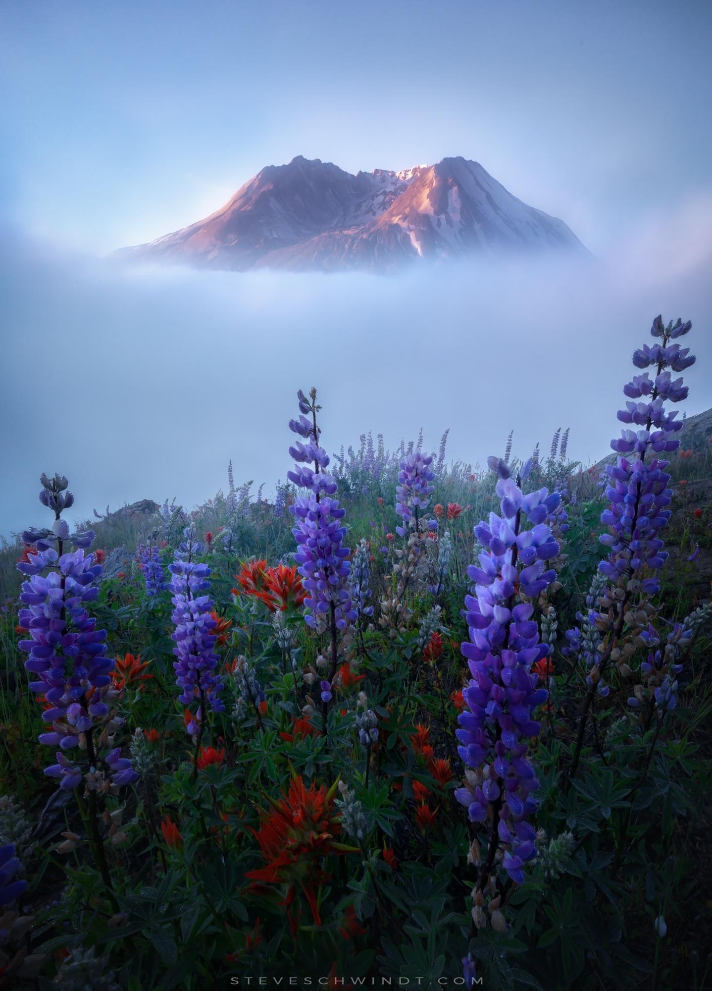 View of Mount St. Helens - The mountains, Volcano, Volcano St. Helens