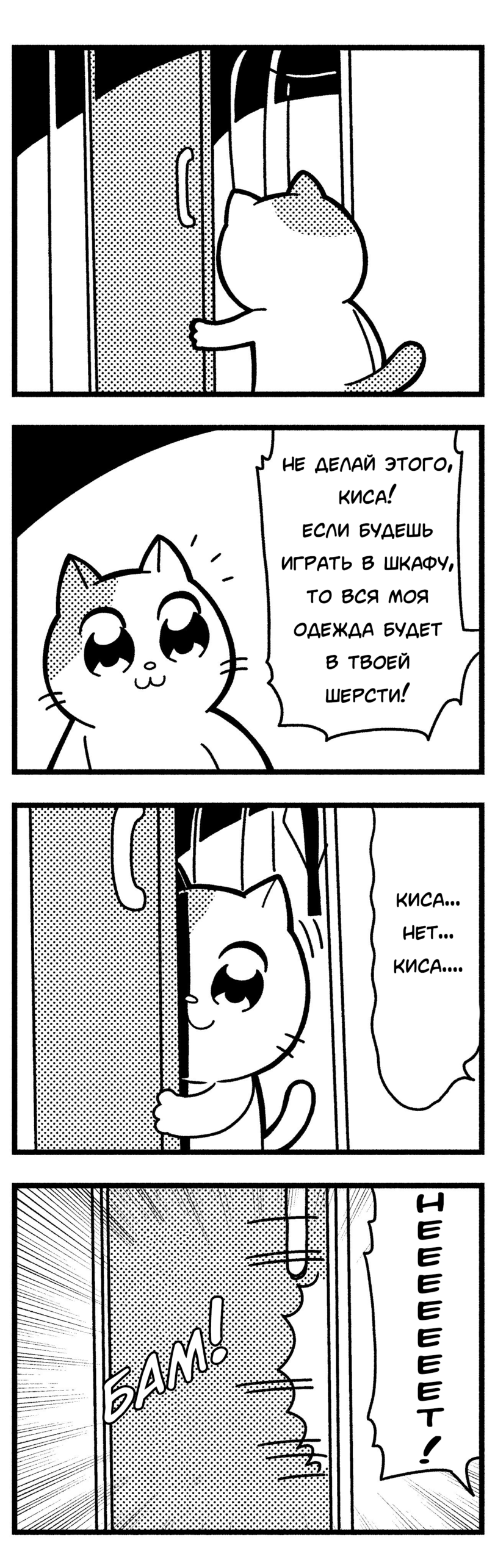 Angry kitty - Comics, cat, , Longpost