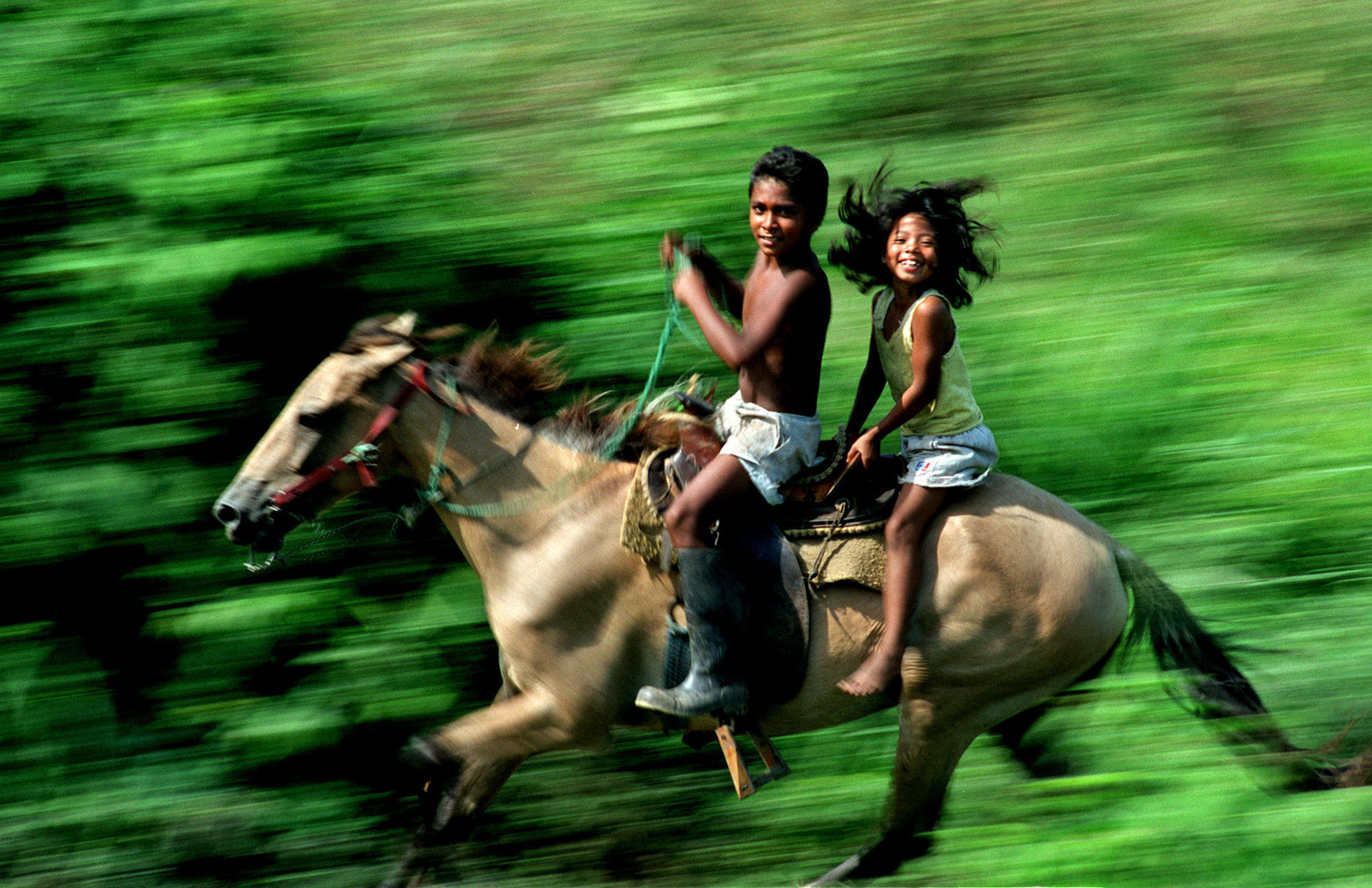 Trying to overtake the train - Horses, Children, Boys and girls, Lucky shot, Lucky moment