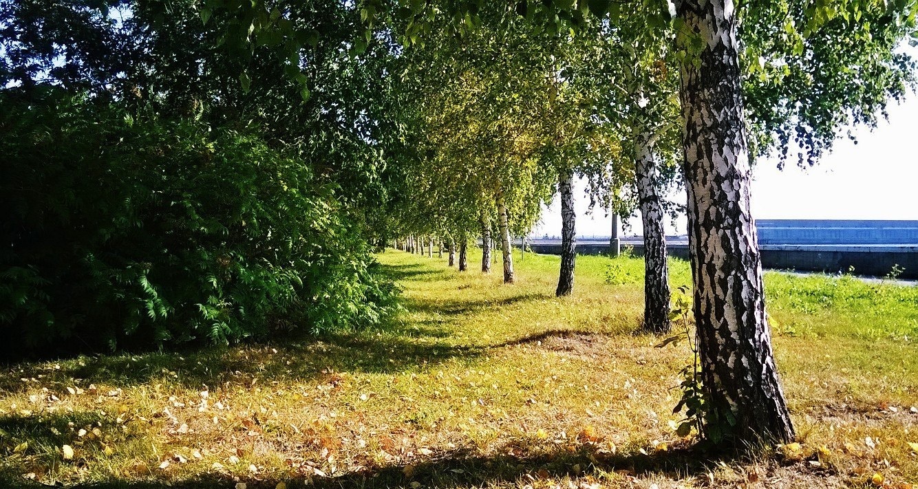 INDIAN SUMMER - My, Indian summer, Nature, Autumn, beauty, Novosibirsk