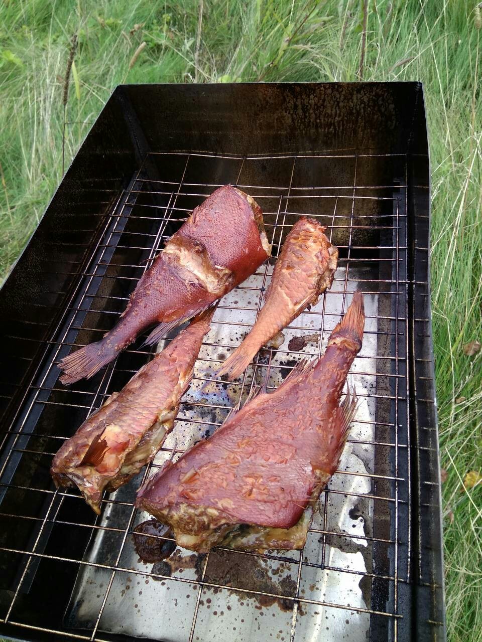 My husband cooked a stainless steel smokehouse and away we go.... - My, Smokehouse, Pork, Moscow region, Masturbation, Yummy, A fish, Longpost