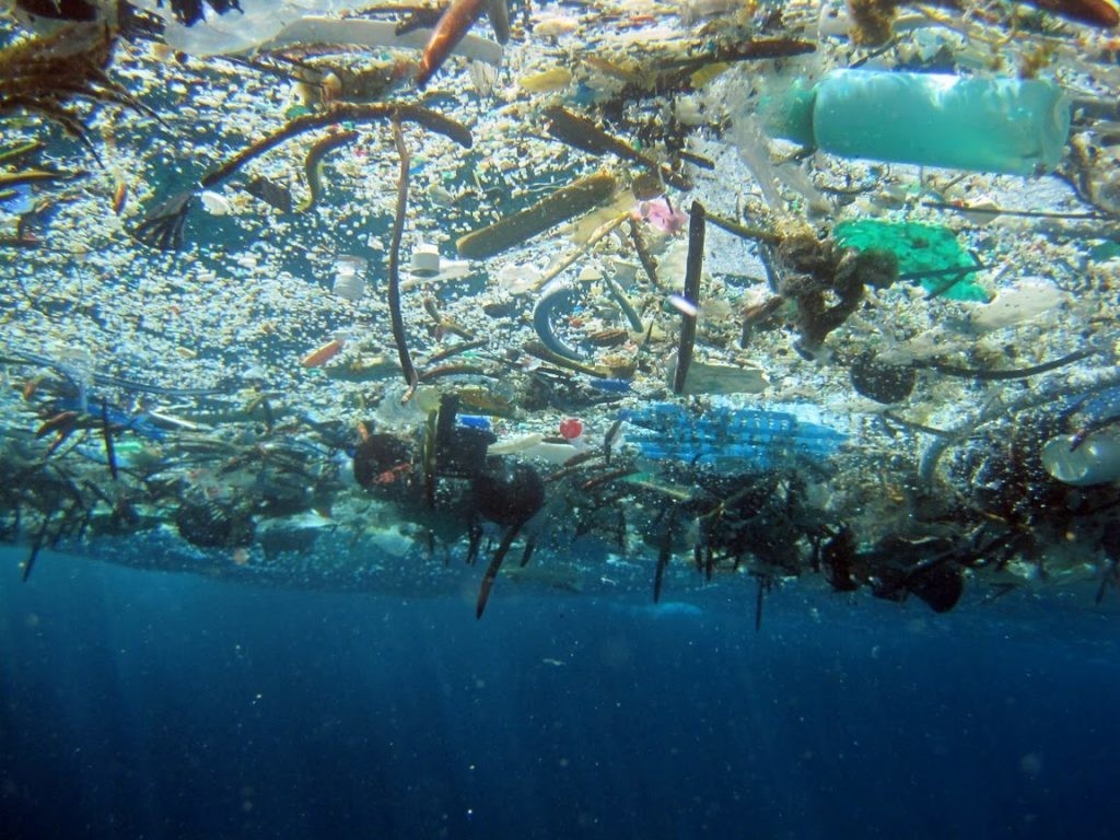 The Pacific Garbage Patch is proposed to be recognized as a state - Garbage, Ecology, We all die, Longpost