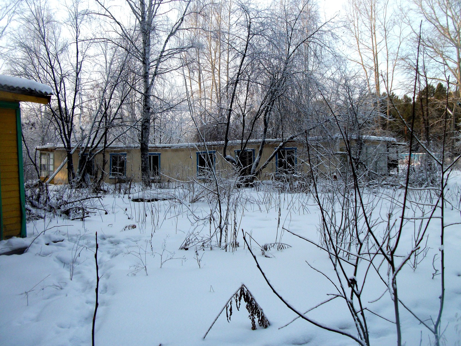 Pioneer camp Forget-me-not - My, Sverdlovsk region, Urbanturism, Abandoned, Notes of a crazy woman, The Beauty of Oblivion, The photo, Longpost