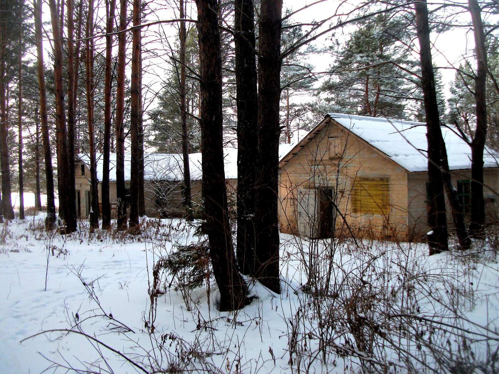 Pioneer camp Forget-me-not - My, Sverdlovsk region, Urbanturism, Abandoned, Notes of a crazy woman, The Beauty of Oblivion, The photo, Longpost