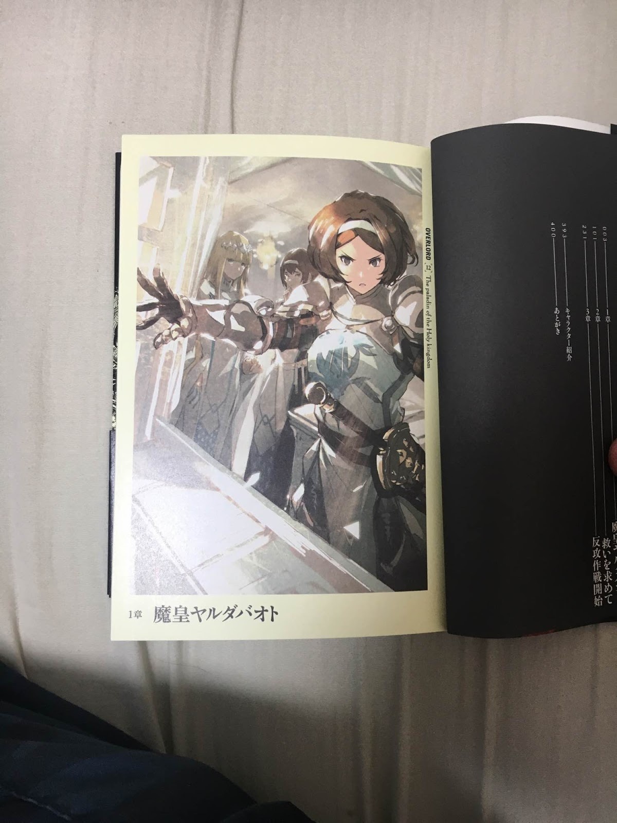 Meanwhile, volume 12 of Overlord is moving by leaps and bounds - Anime, Anime art, Overlord, Light novel, Longpost, So-Bin, The photo, Ainz ooal gown