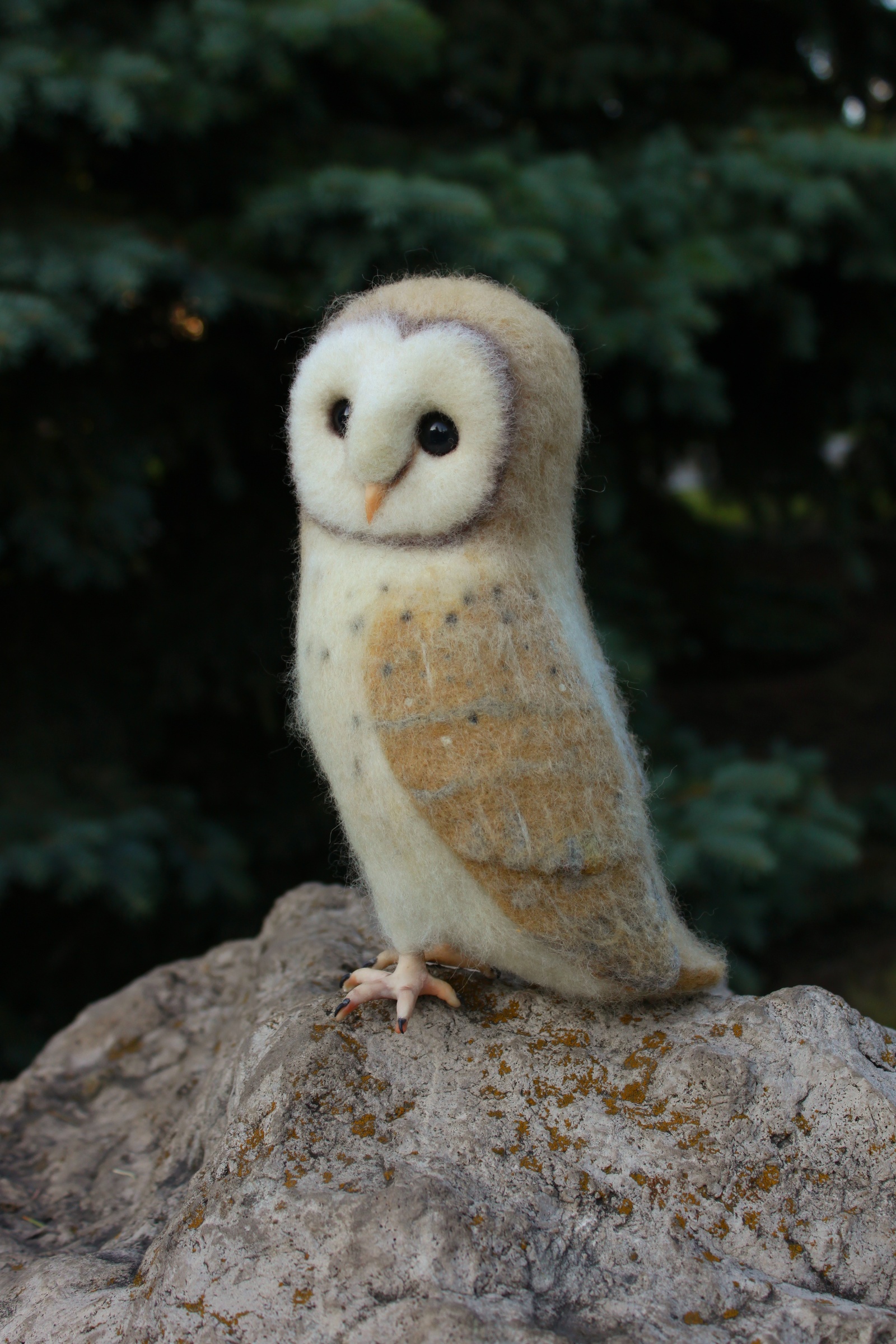 barn owl - My, Owl, Barn owl, Dry felting, Creation, With your own hands, Handmade, Toys, Hobby, Longpost