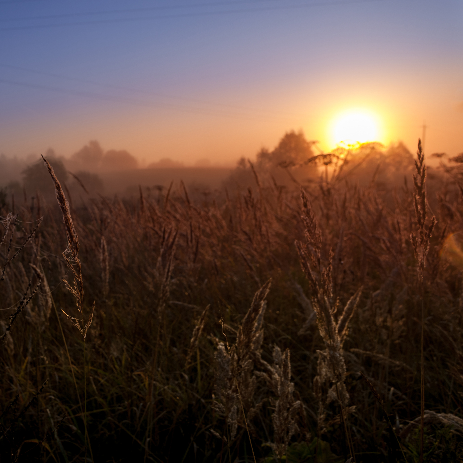 Foggy good morning to you, Peekaboo! - My, The photo, Photographer, Fog, Landscape, Longpost