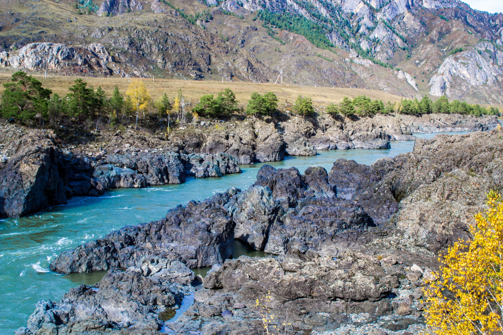 Oroktoy bridge, Teldekpen rapids. Up the Katun. - My, Mountain Altai, Chemal district, Oroktoi Bridge, , Nature, Autumn, Mountain tourism, Longpost, Altai Republic