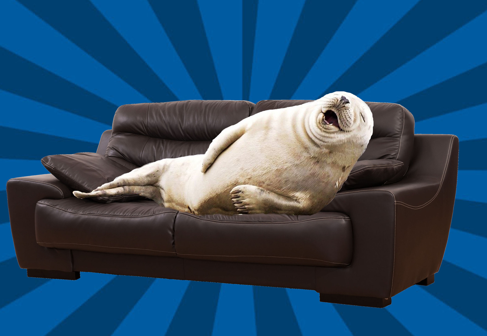 Реклама тюлени на диване
