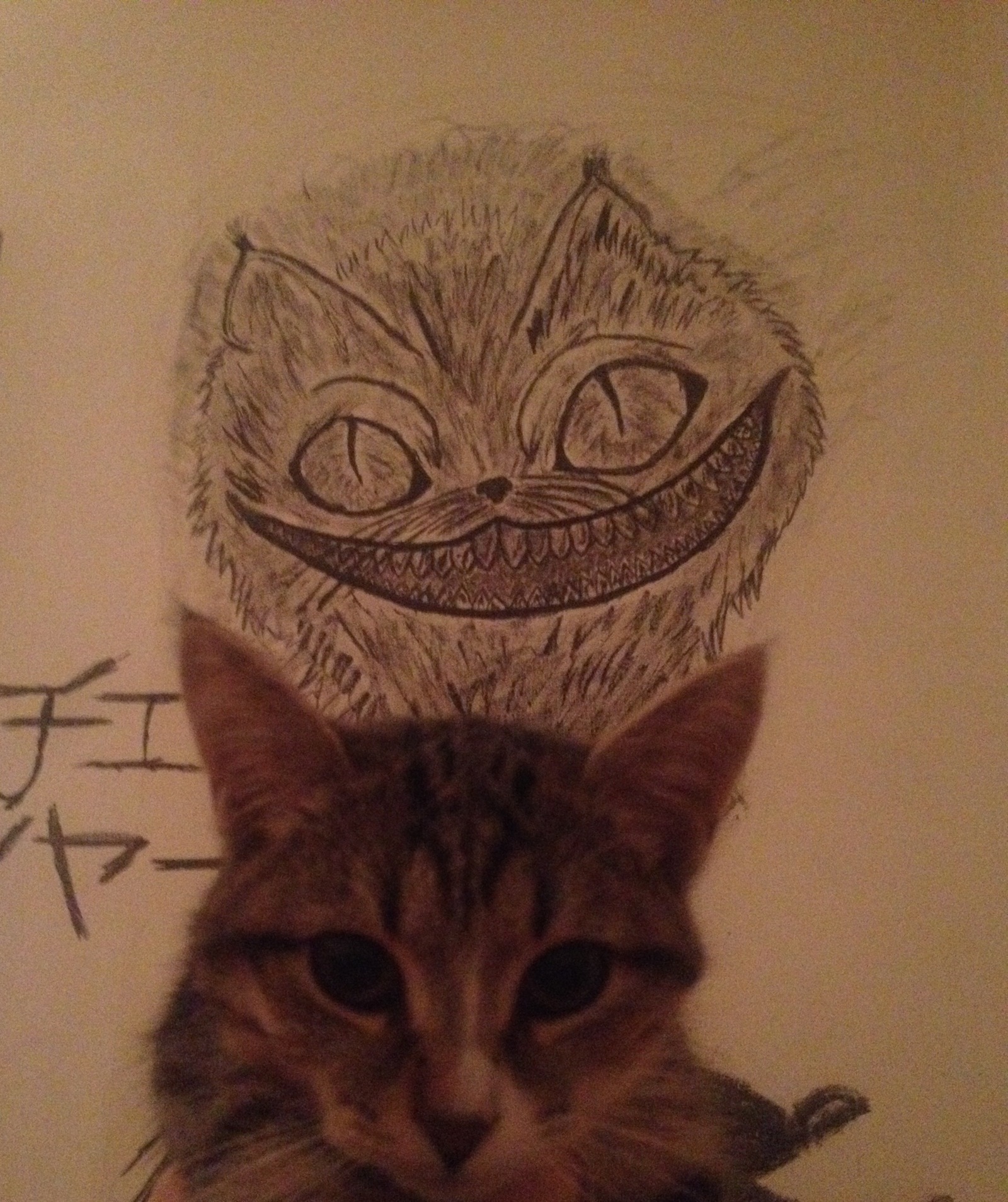 Two cats - My, cat, Cheshire Cat, Drawing on the wall