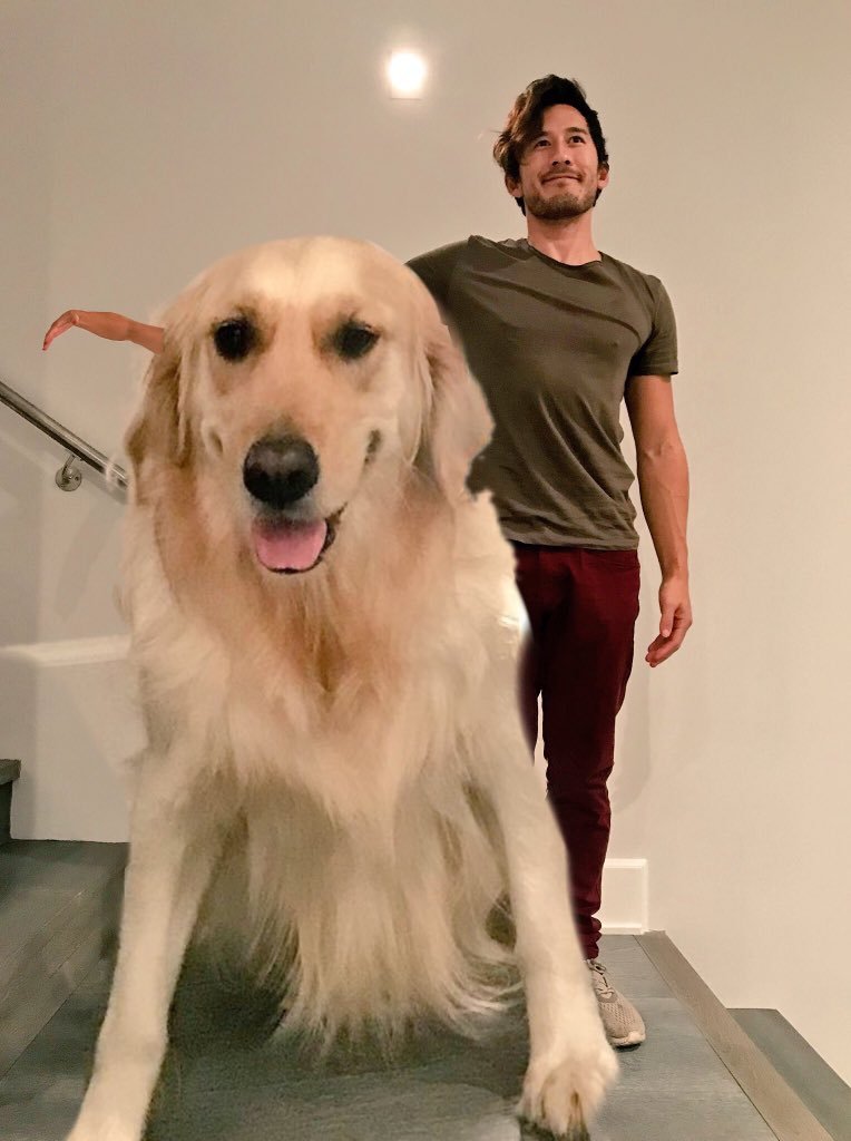 The guy asked his subscribers to photoshop his hand to the dog, as in the second picture - Images, The photo, Photoshop master, Photoshop, Scooby Doo, Longpost, Markiplier