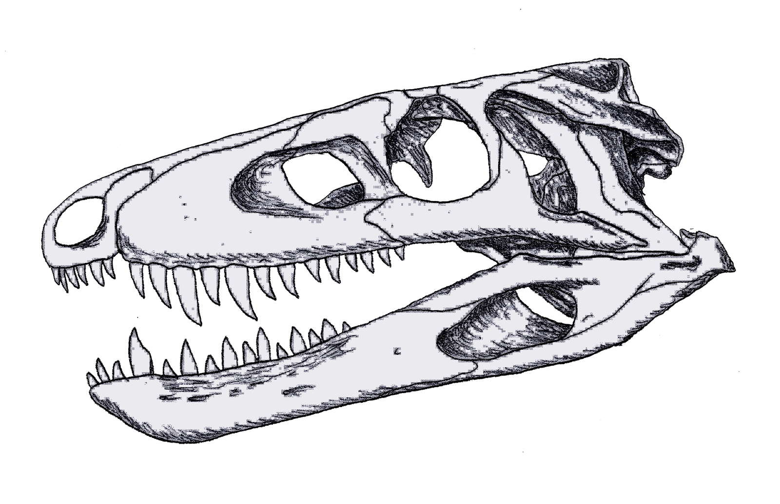 We tear patterns. - My, Paleontology, Triassic period, The science, Crocodile, Biology, Reptiles, Longpost, Crocodiles