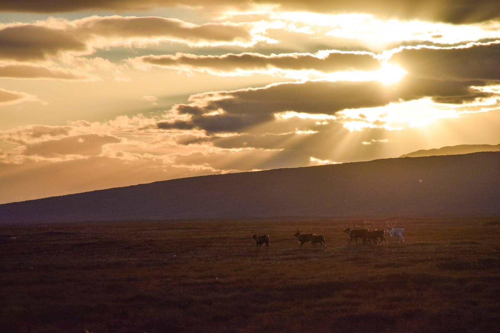 Geological expedition to the north of Kamchatka. - Longpost, The photo, Travels, Geology, Geologists, Kamchatka, My