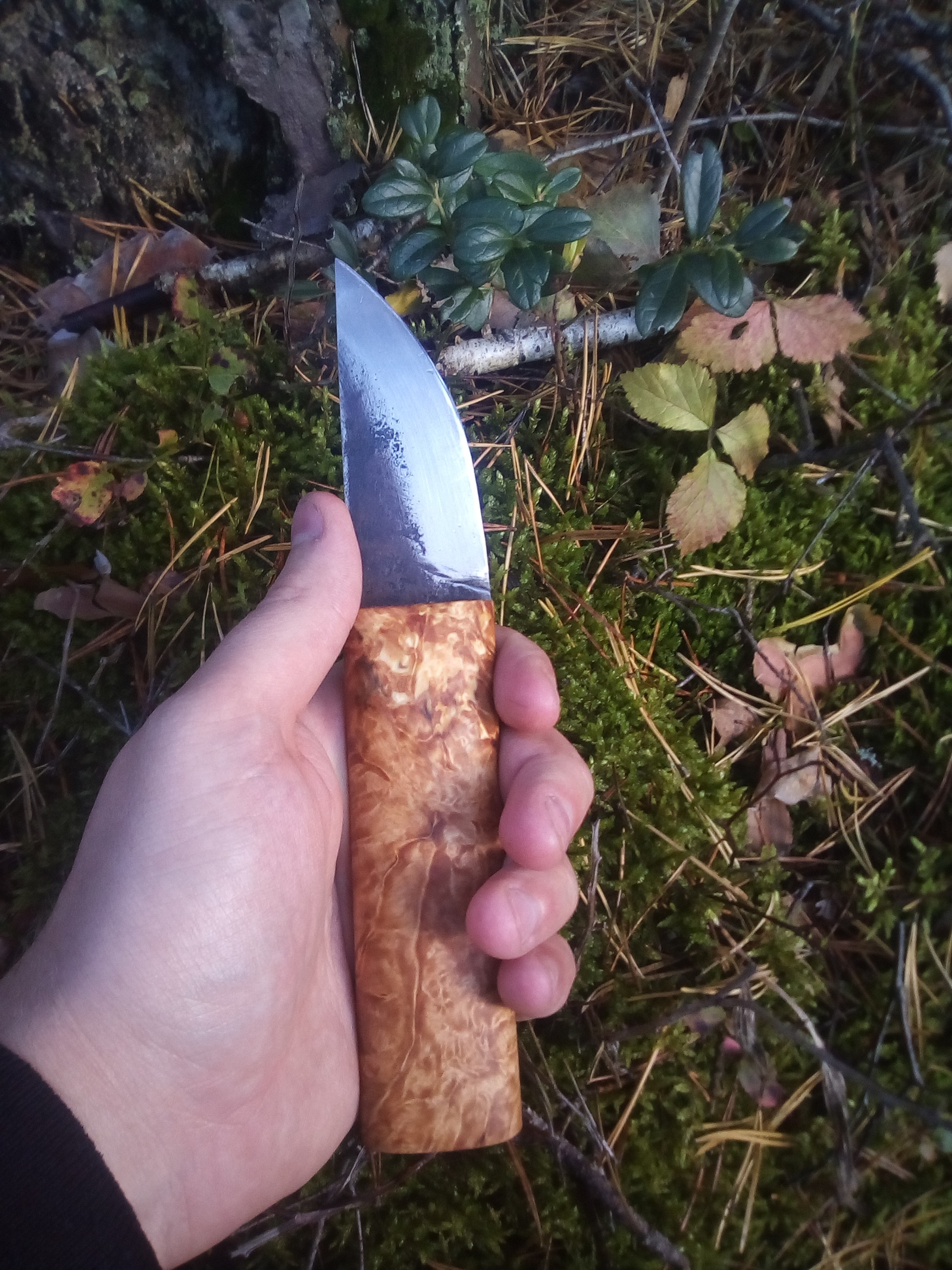 And again a knife, based on the northern ones. - My, Hobby, forge, Friday, Longpost