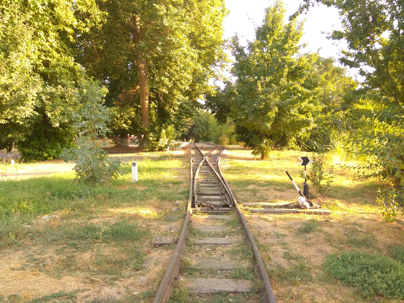 Tashkent. Former Komsomolskoye lake. Now the National Park. - My, Tashkent, , Longpost