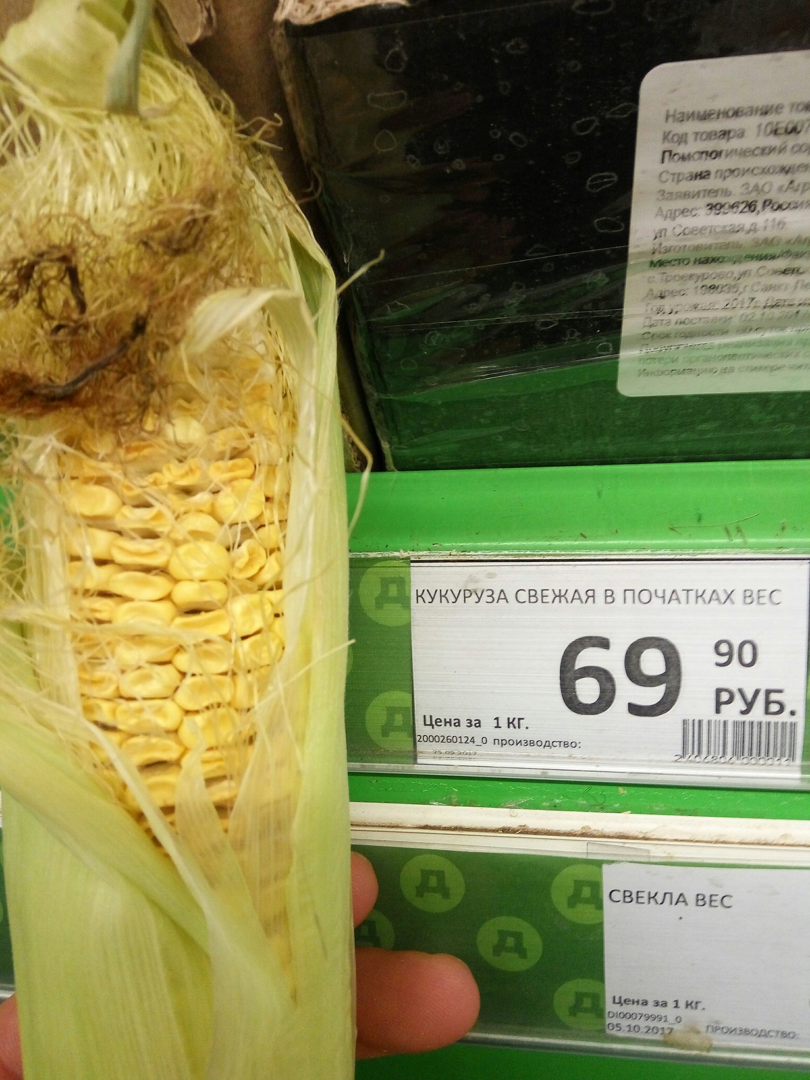 fresh corn - My, Corn, , Score, Fresh