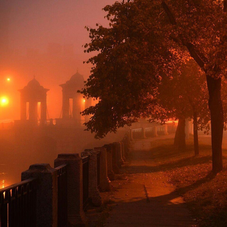 Embankment of the Fontanka River. Autumn is the color dreams of leaf fall. - Night, The street, Lamp, Bridge, Saint Petersburg, Autumn