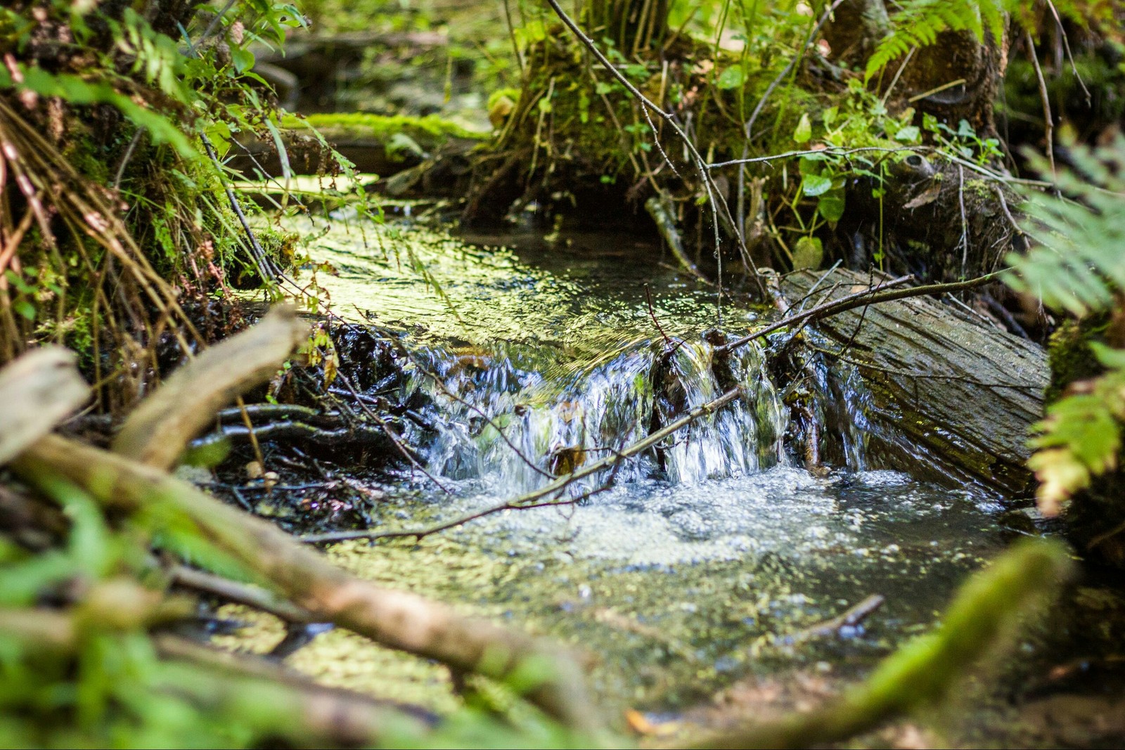 local waterfalls) - My, Waterfall, Stream, Beginning photographer