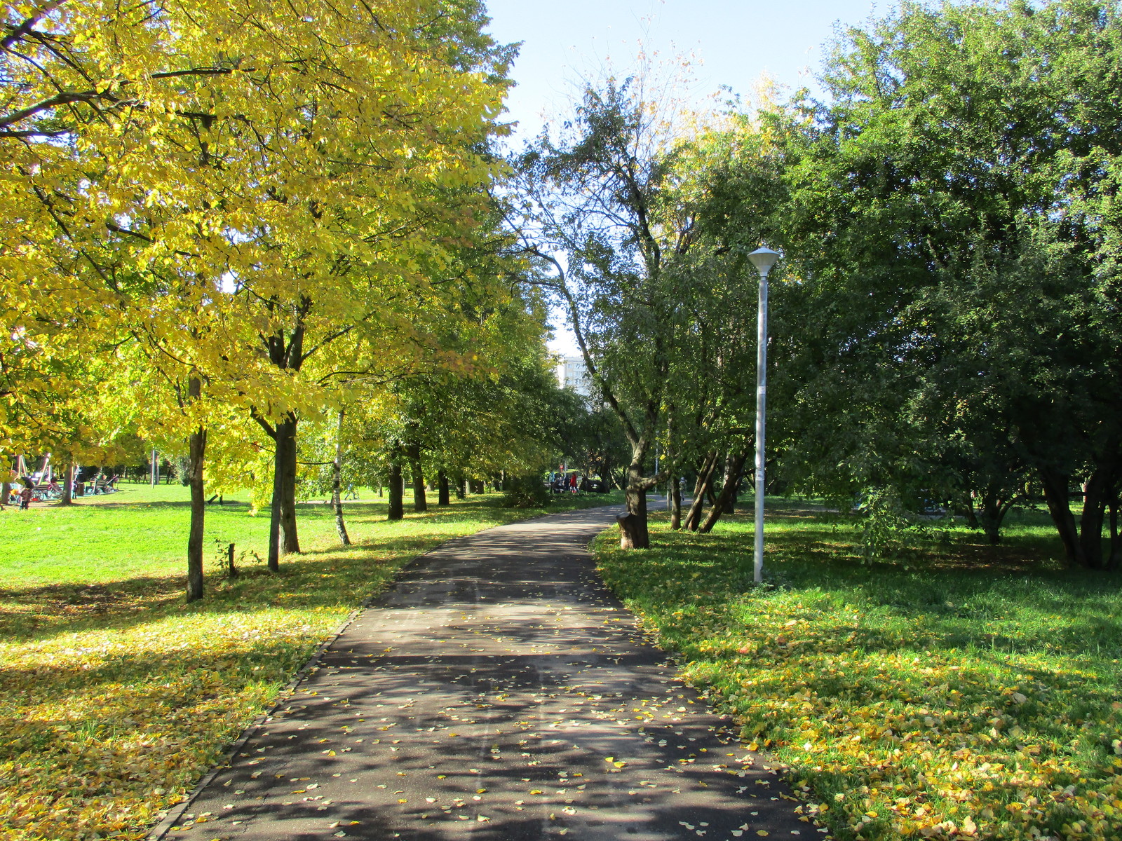 Angarskiye Prudy Park, Moscow. - My, Beginning photographer, My, Autumn, Longpost