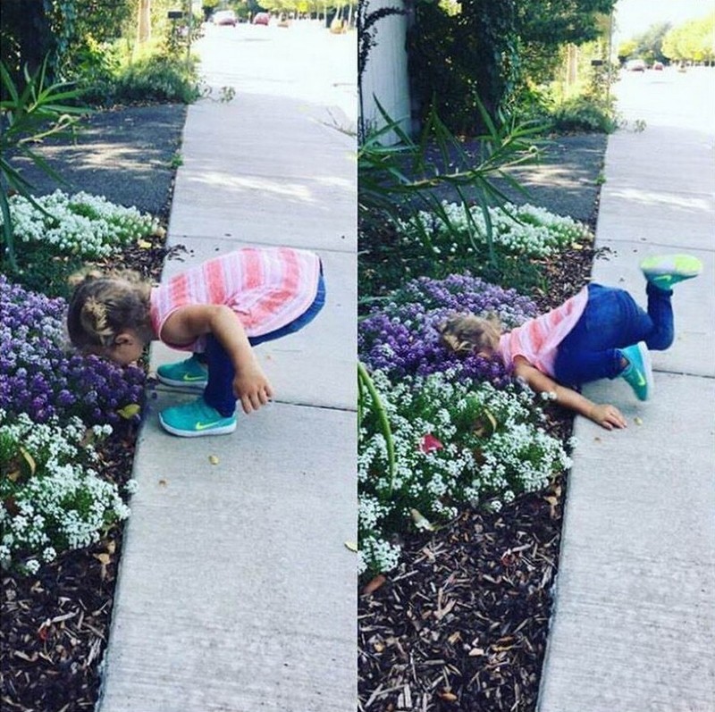 Flowers :) - Flower bed, Flowers, Girl, The fall, Children