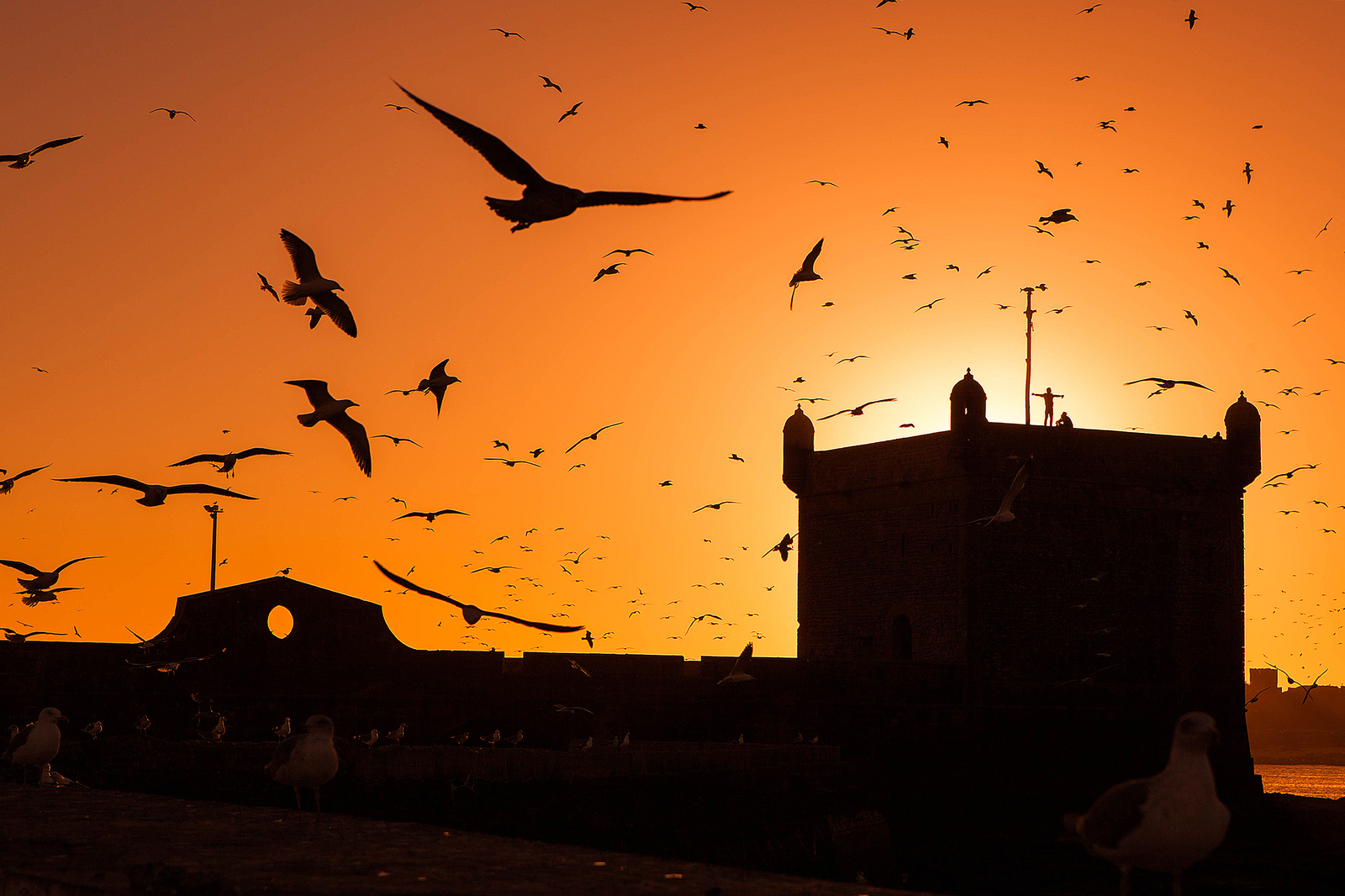 Morocco, Essaouira - My, , Morocco, Battle of sunsets, Sunset, 