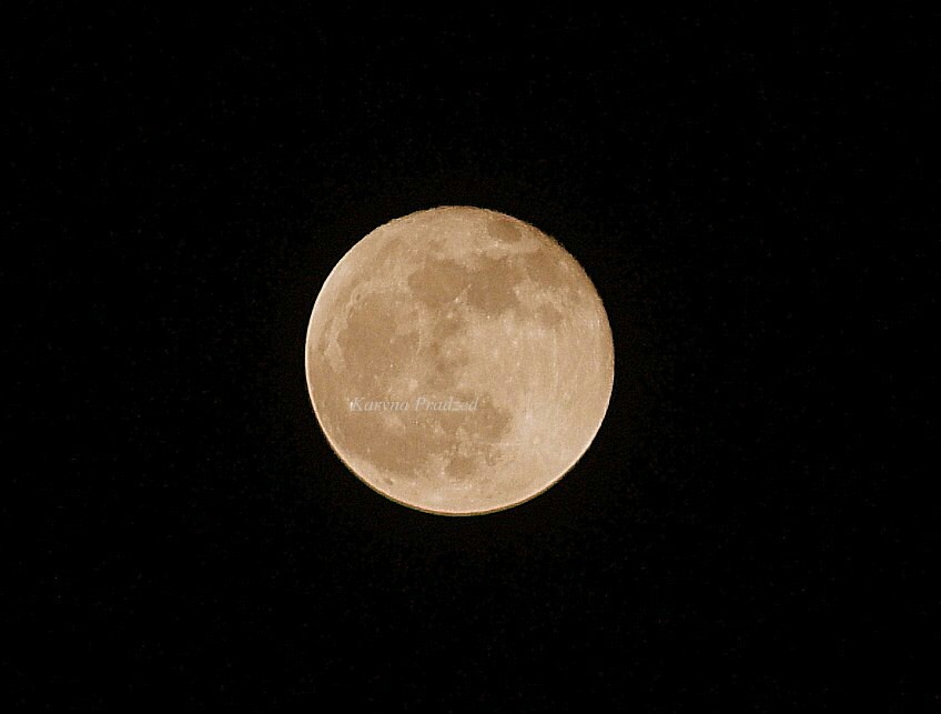 beauty moon - My, moon, Beginning photographer, Studies, Night