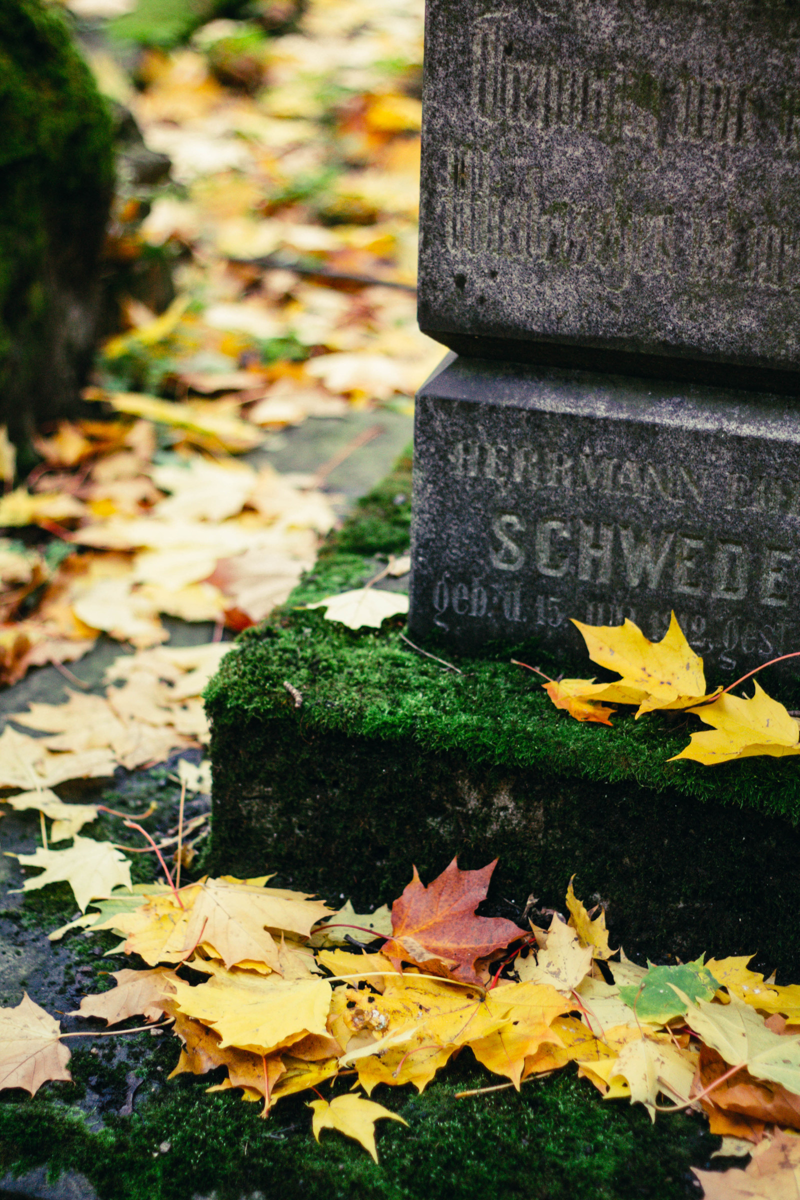 Smolensk Lutheran cemetery in St. Petersburg. - My, Longpost, The photo, Canon, Canon 1100d, Canon EF 50mm f18 II, Autumn, Saint Petersburg, Cemetery