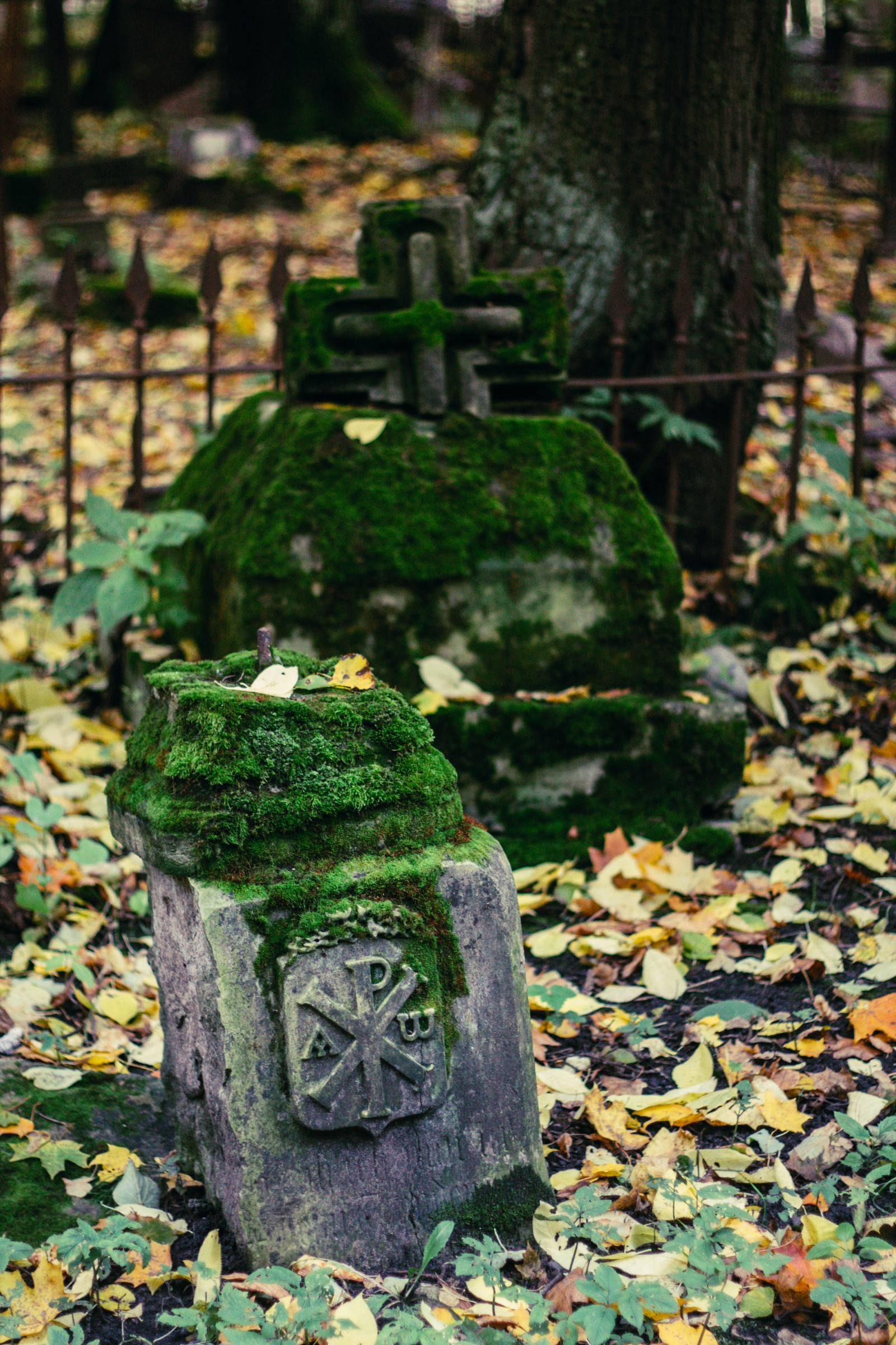 Smolensk Lutheran cemetery in St. Petersburg. - My, Longpost, The photo, Canon, Canon 1100d, Canon EF 50mm f18 II, Autumn, Saint Petersburg, Cemetery