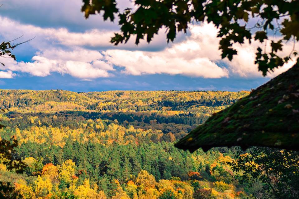 Autumn in the Baltic States - Sigulda - My, Sigulda, Latvia, Autumn, , Longpost