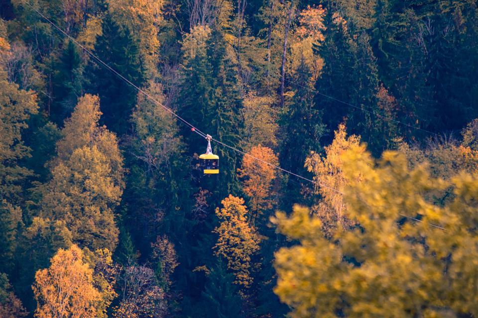 Autumn in the Baltic States - Sigulda - My, Sigulda, Latvia, Autumn, , Longpost