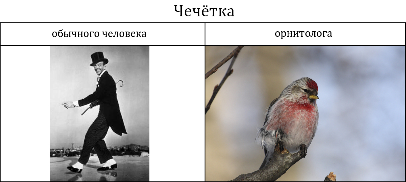 Звонарь курильщика - Орнитология, Птицы, Юрий Хованский, Рэпер Гнойный, Джейсон Стейтем, Длиннопост