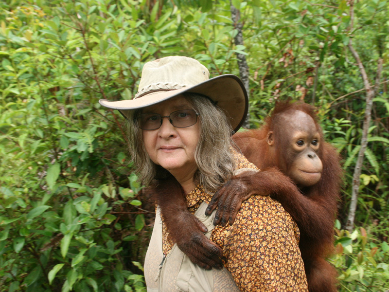 Birute - peacemaker - Anthropogenesis, , Primates, Biography, The science, Longpost