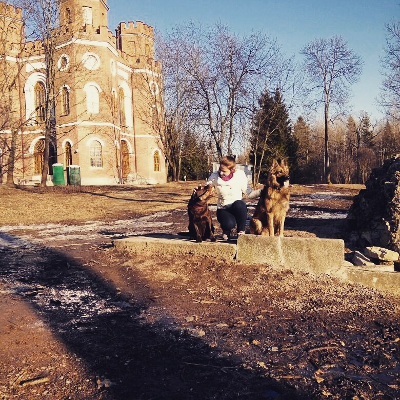 История одной собаки (окончание) - Моё, Собака, Питомец, Животные, Длиннопост, Домашние животные