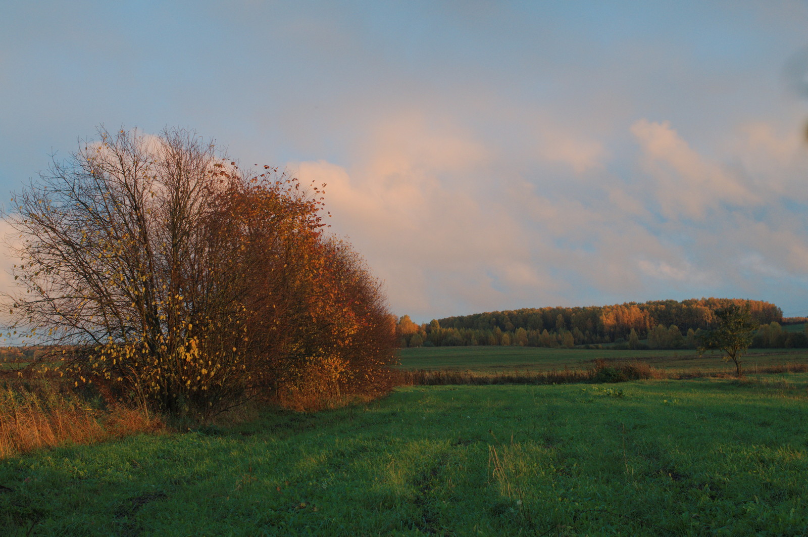 Autumn - My, Autumn, Nikon, Village