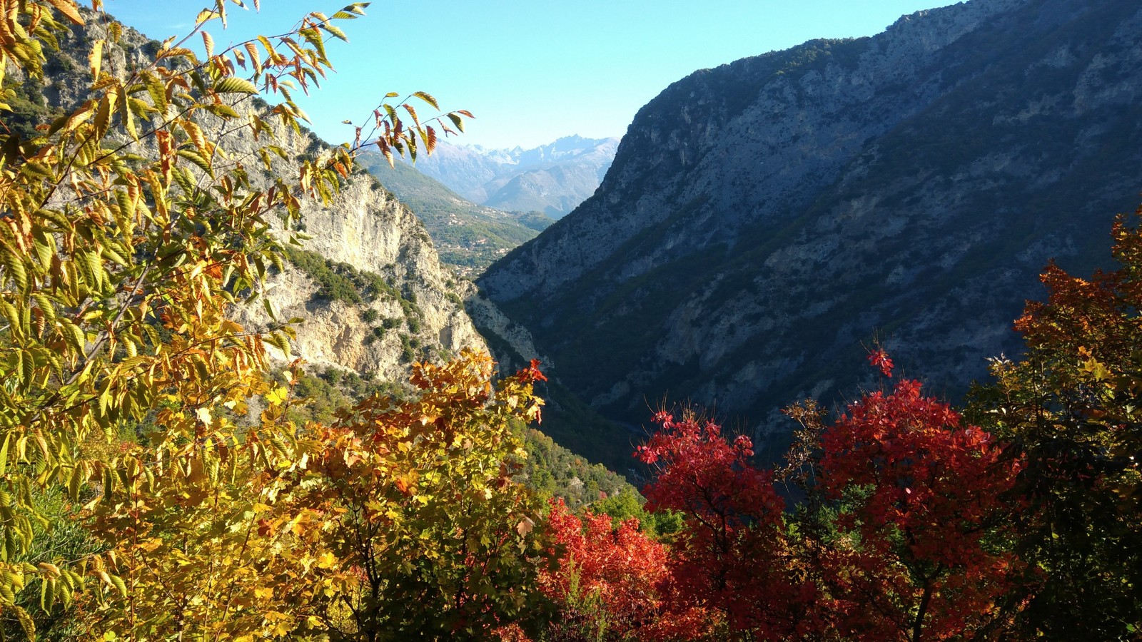 A meeting of two kindred spirits yesterday in a mountain village. - My, cat, The mountains, french alps, Autumn, a lion, Soul mates, Longpost, Alps