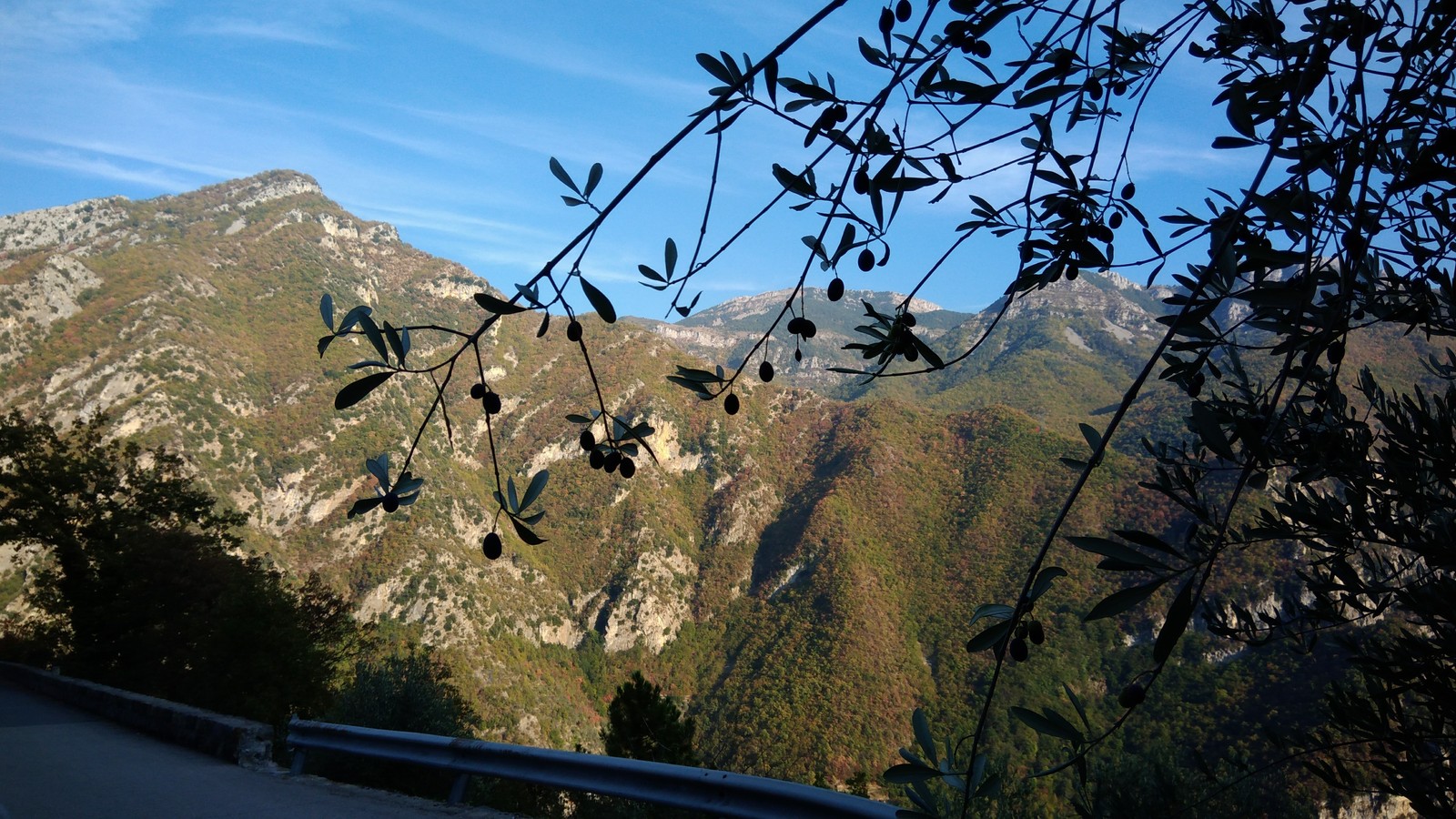 A meeting of two kindred spirits yesterday in a mountain village. - My, cat, The mountains, french alps, Autumn, a lion, Soul mates, Longpost, Alps