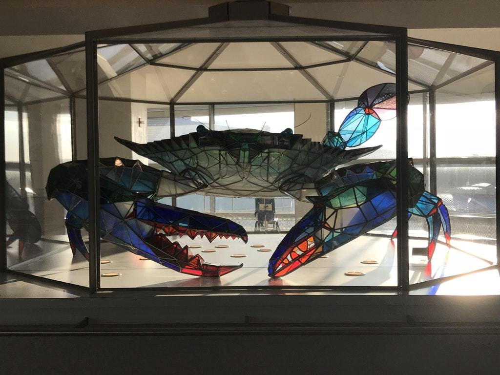 Baltimore-Washington International Airport. Crab - The photo, Crab, Glass, The airport