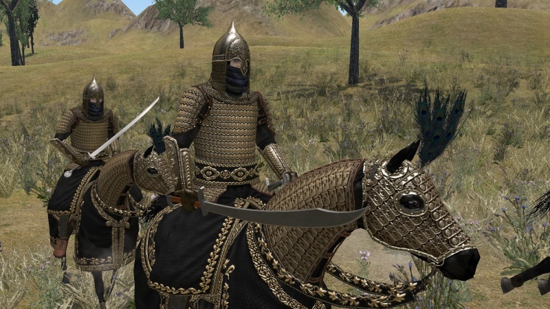 Mount and blade мод на управление отрядом