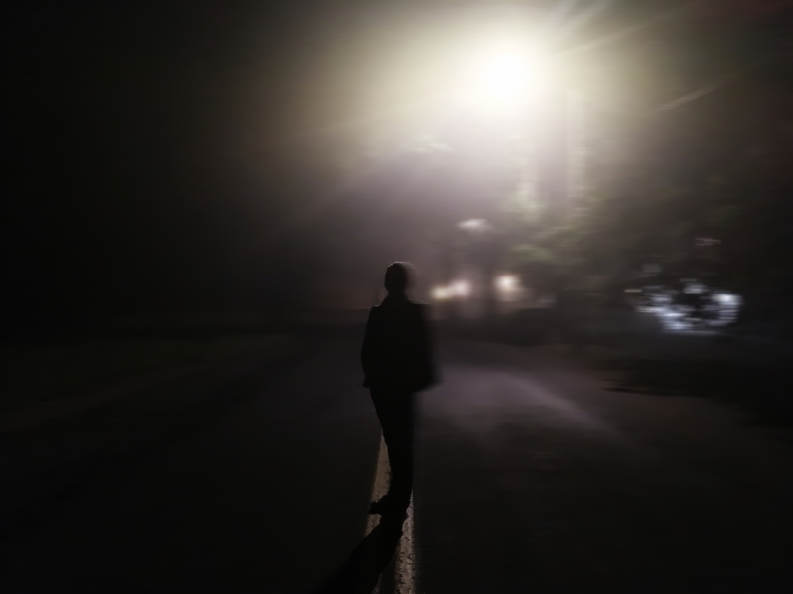 misty walk - My, The photo, Beginning photographer, I want criticism, Fog, Silhouette, Longpost