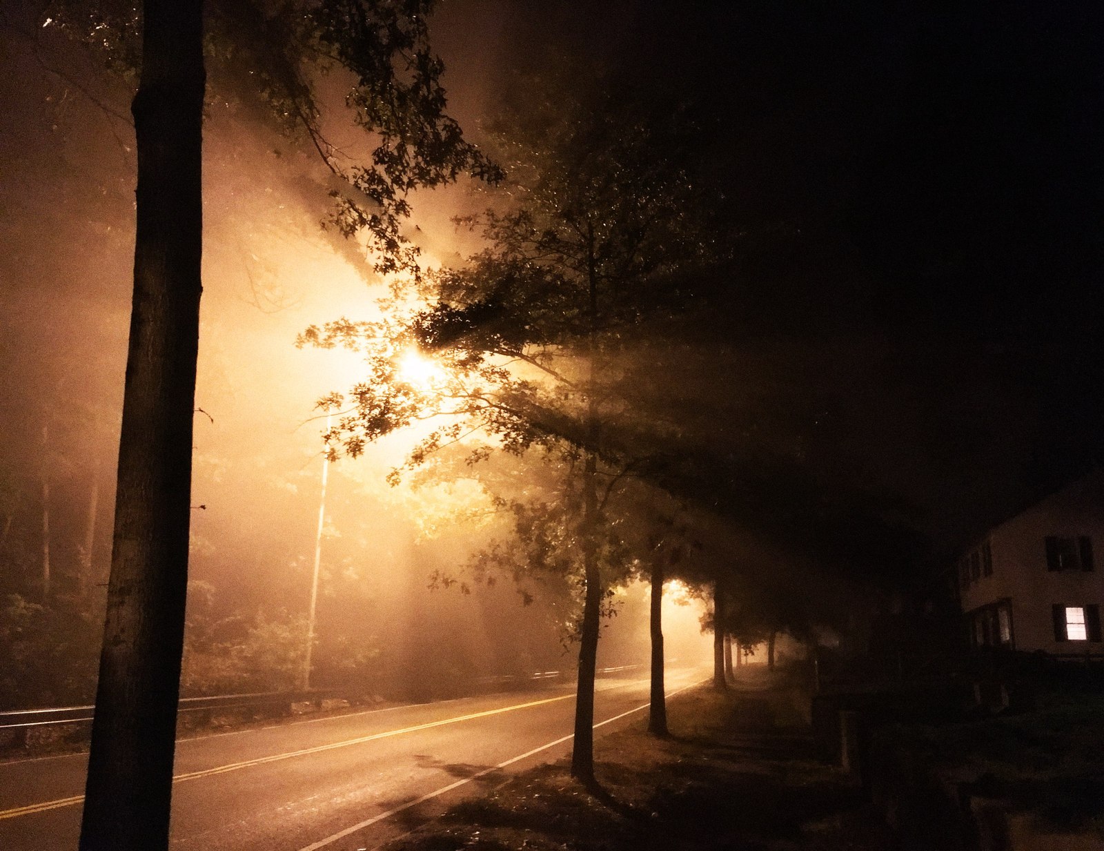 misty walk - My, The photo, Beginning photographer, I want criticism, Fog, Silhouette, Longpost