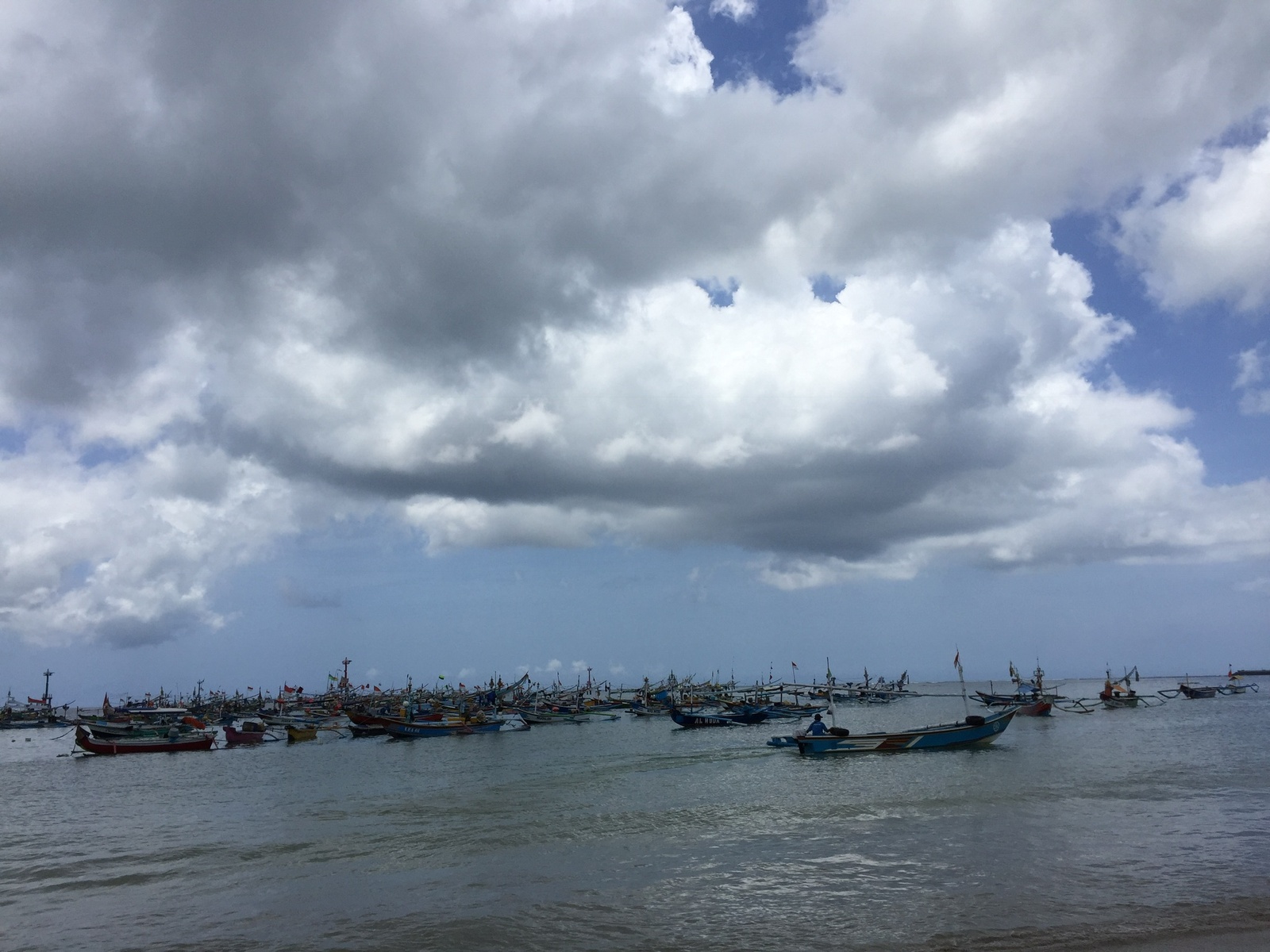 Life in Indonesia. Bali. Part 5. Fish market. - My, Fabulous bali, Indonesia, Bali, Longpost